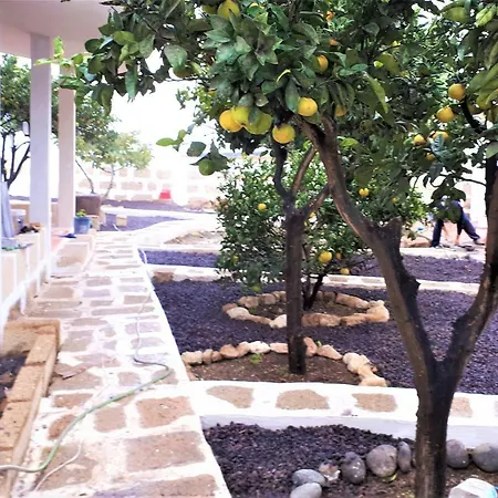 Appartement In Arico