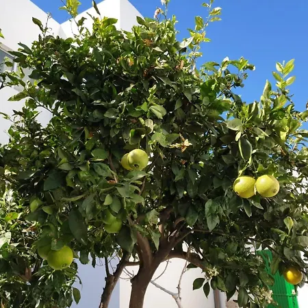 In Arico Διαμέρισμα Arico el Nuevo